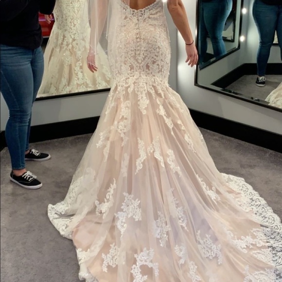 Beautiful wedding dress, champagne underneath with lace and sparkle overlay. - Picture 6 of 12